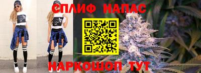 спиды Можайск