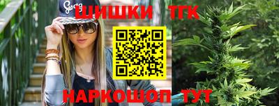 стаф Моздок