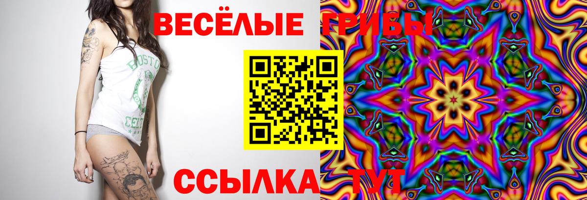 цены   Вход с VPN  Сертолово  Псилоцибиновые грибы Psilocybe 
